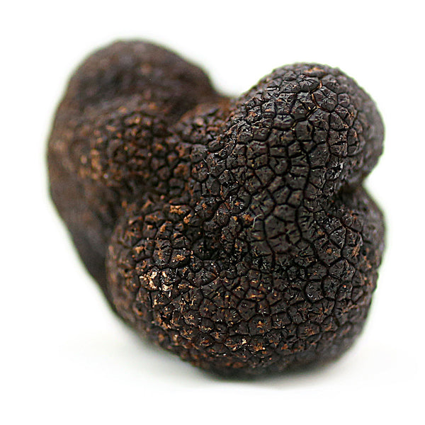 Tasmanian Black Truffles Extra Grade - Perigord Truffles of ...